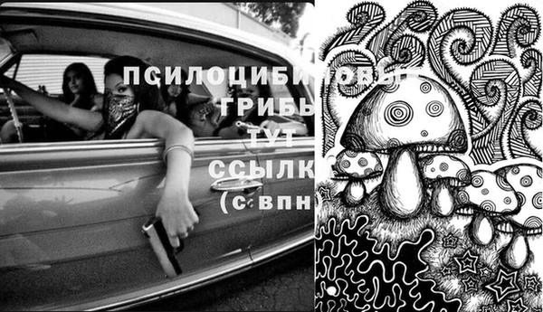 каннабис Арсеньев