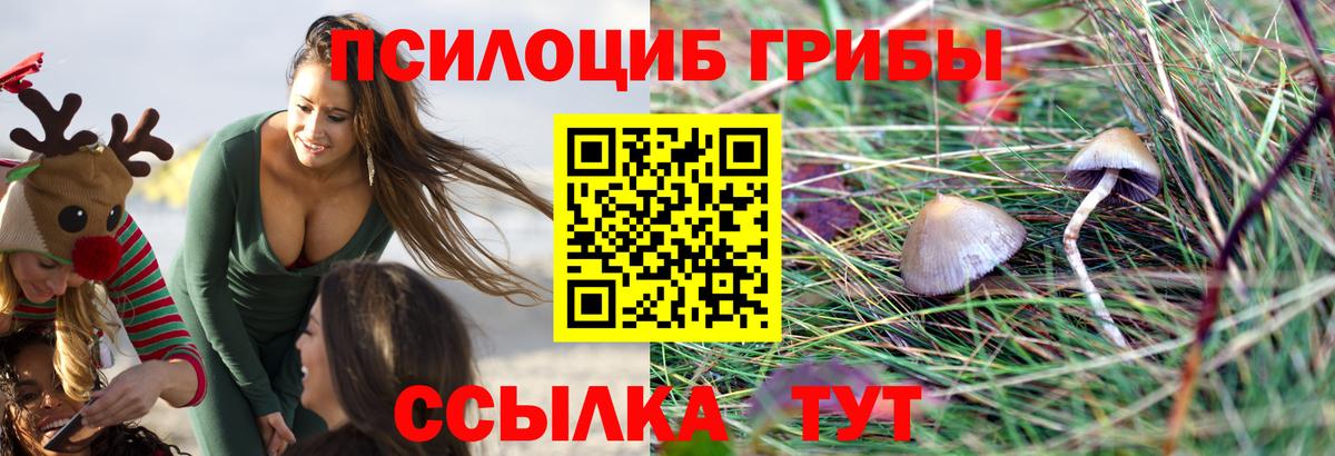 Галлюциногенные грибы Cubensis  Вход с VPN  Арзамас 