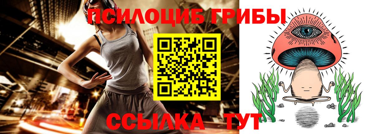 Галлюциногенные грибы Psilocybe Арзамас